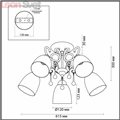 Потолочная люстра Eleconca 3511/5C от Lumion (3)