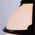 Подвесной светильник Monaco A1495SO-1BK от Arte Lamp (4)
