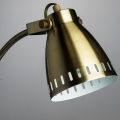 Настольная лампа Luned A2214LT-1AB от Arte Lamp (3)