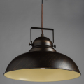 Подвесной светильник Martin A5213SP-1BR от Arte Lamp (2)