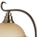 Настольная лампа Safari A6905LT-1AB от Arte Lamp (3)