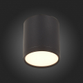 Потолочный светильник ST113.432.05 Rene ST Luce (3)