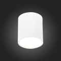 Потолочный светильник ST113.542.05 Rene ST Luce (3)