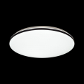 Настенно-потолочный светильник 3042/EL Vaka Сонекс (2)