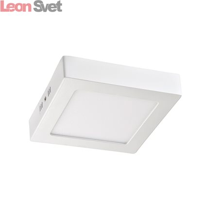 Настенно-потолочный светодиодный светильник 1349-12C от Favourite