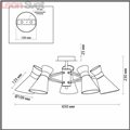Потолочная люстра Laconica 3498/5 от Lumion (3)