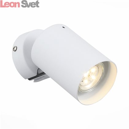 Светильник настенно-потолочный Fanale SL597.501.01 от St-Luce