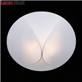 Светильник потолочный Tonico SL360.552.02 от St-Luce (6)