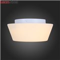 Светильник потолочный Adatto SL296.502.02 от St-Luce (4)