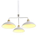 Светильник потолочный  SL323.503.03 от St-Luce (2)