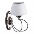 Настенный светильник Блеск 315022501 от MW-Light