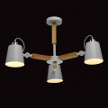 Потолочная люстра Форест 693011203 от MW-Light (11)