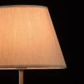 Настольный светильник Форест 693032001 от MW-Light (4)