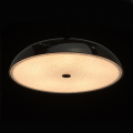 Накладной светильник Канапе 708010205 от MW-Light (2)