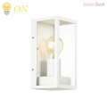 Уличный настенный светильник IP44 Argos 4166/1W от Odeon Light (2)