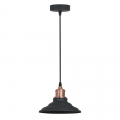 Подвесная люстра Lido A5067SP-1BK от Arte Lamp