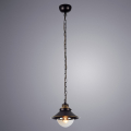 Подвесной светильник Grazioso A4577SP-1CK от Arte Lamp
