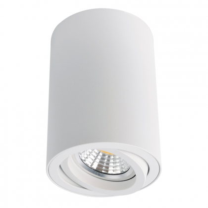 Точечный светильник Sentry A1560PL-1WH от Arte Lamp