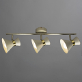 Спот A1406PL-3WG Baltimore от Arte Lamp (2)
