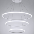 Подвесная люстра Rapid A2500SP-3WH от Arte Lamp (3)