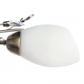 Потолочная люстра Gardenia A2766PL-5AB от Arte Lamp (5)