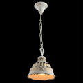 Подвесной светильник Chiesa A2814SP-1WG от Arte Lamp (3)