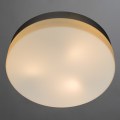 Водостойкий светильник A3211PL-3SI Aqua от Arte Lamp (2)