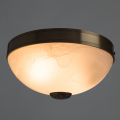 Накладной светильник Windsor A3777PL-2AB от Arte Lamp (3)