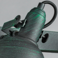 Спот MARTIN A5213AP-2BG (3)