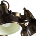 Потолочная люстра MARTIN A5216PL-8BR от Arte Lamp (3)