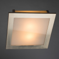 Накладной светильник Spruzzi A6064PL-2SS от Arte Lamp (2)