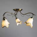 Потолочная люстра Barbara A6066PL-3AB от Arte Lamp (3)