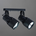 Спот Lyra A6252PL-2BK от Arte Lamp (2)