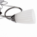 Потолочная люстра A6545PL-3BC Alessia от Arte Lamp (3)