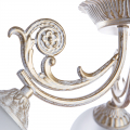 Потолочная люстра Sofia A7060PL-3WG от Arte Lamp (3)