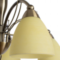 Подвесная люстра Arte Lamp Panna A8612LM-5AB (4)