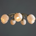 Потолочная люстра MILLO A9549PL-7GO от Arte Lamp (2)