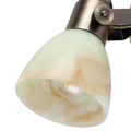 Спот Tulip A9582AP-1AB от Arte Lamp (2)