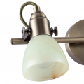 Спот Tulip A9582AP-2AB от Arte Lamp (2)