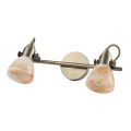 Спот Tulip A9581AP-2AB от Arte Lamp (4)