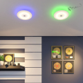 Потолочный LED светильник Roki Muzcolor 4629/CL Сонекс 36W (6)