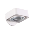 Настенный светильник Paco 3889/6WW Odeon Light (2)