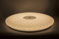 Накладной LED светильник 60W 3000К 29721 AL5250 Feron (4)