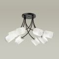 Люстра потолочная Paula 4533/8C Lumion (4)