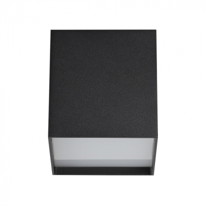 Потолочный накладной светильник Roxy 4233/10CL Odeon Light