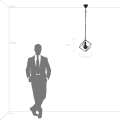 Люстра подвесная Gabbia 732317 Lightstar (4)
