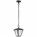Светильник светодиодный уличный подвесной Lampione 375070 Lightstar