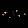 Потолочная люстра SL419.442.06 Ano Evoluce (10)