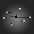 Потолочная люстра SL419.442.06 Ano Evoluce (17)