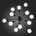 Потолочная люстра SL419.402.12 Ano Evoluce (11)